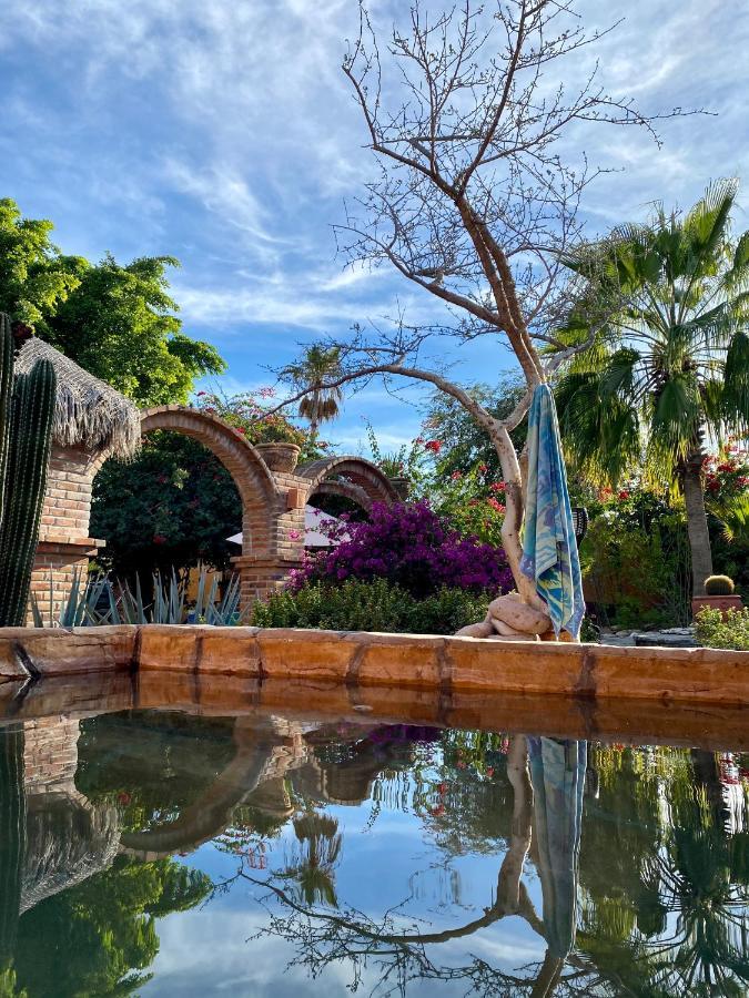 Bed and Breakfast Casa Xochitl El Centenario Exterior foto